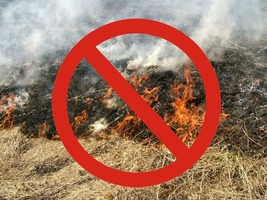 Опасность выжигания сухой травы